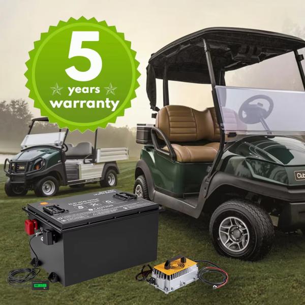 OEM Lifepo4 36 Volt Golf Cart Batteries 72ah 100ah 105ah 160ah 200ah 72 volt