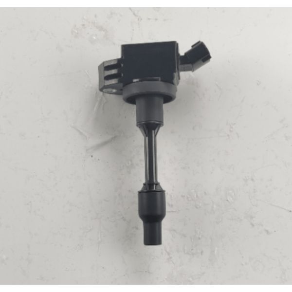 Aftermarket RAIZE Toyota Ignition Coil OEM 90919-02281