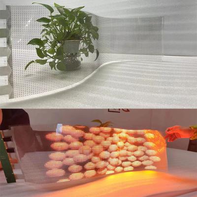4000nits P6 Rear Service Invisible PCB Soft Flexible Transparent LED Display