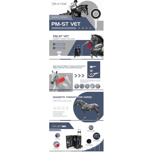 Máquina de tratamiento de caballos profesional de PEMF Veterinario Dispositivo de magnetoterapia para aliviar el dolor