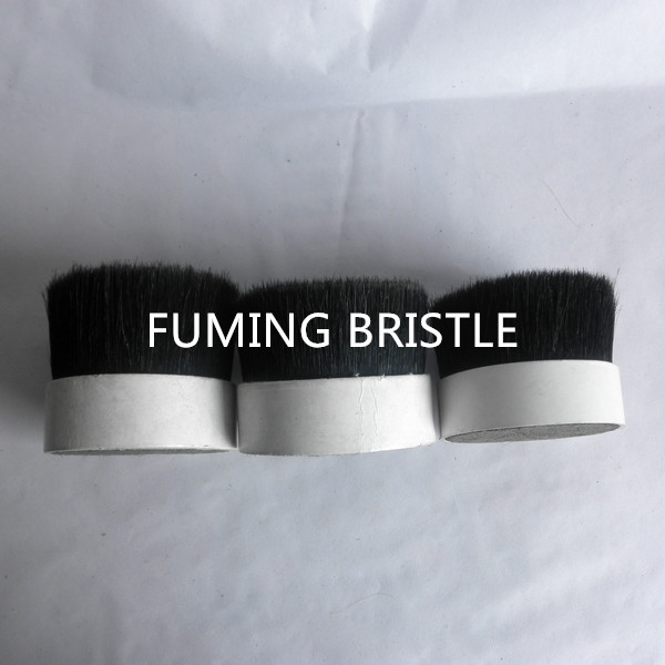 64mm dyed bristles 90% tops