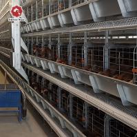 Q235 Couche d'œuf automatique galvanisée à chaud Poulet pour volaille Cages Couche poulets 10000 oiseaux