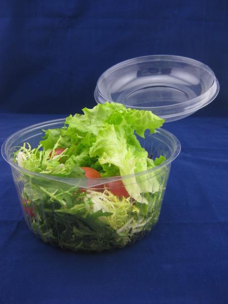 PET Eco-Friendly Fruits Packing Plastic Box 24oz Salad Bowl With Lid