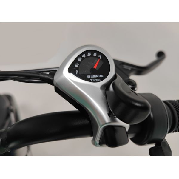 Off-Road Adventures Made Easy with Electric Fat Tire Bike 7 Speed MTB E-Bike and 4.0 Inch Tires