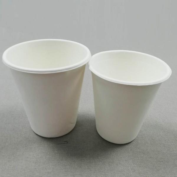12 Oz Sugarcane Cup With Lid Eco-Friendly Sturdy Disposable Hot And Cold Beverages Cups, Coffee Cups