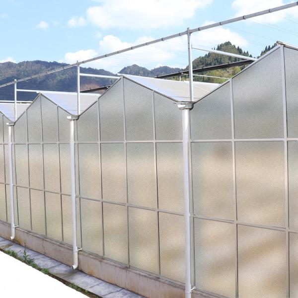 Multi Span PC Sheet Greenhouse Polycarbonate Covering Plant Growth Support