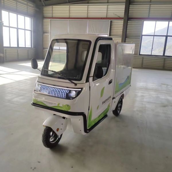 Electric Mini Car Cargo Bike Trike Motorcycle with EEC Certification and High Voltage