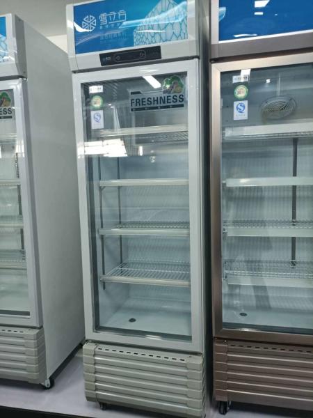 Commercial Mechanical Temperature-Controlled Beverage Display Freezer