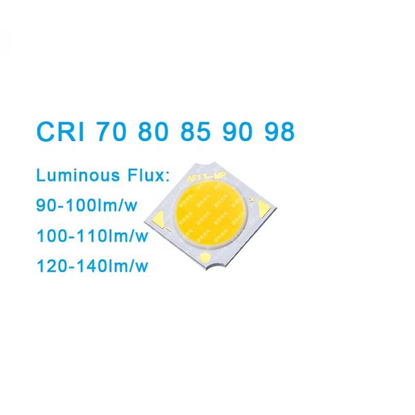 LED Flood Light White Color 3000K/4000K/6000K High Power 10W/15W COB LED Dimmable 120 Viewing Angle 3-Year Warranty