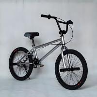 Professionnel 24 pouces 26 pouces BMX Freestyle Vélo acier au carbone OEM couleur Motocross BMX course