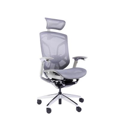 Mesh Back Swivel Office Task Chair Dvary X Ergonomic With Armrest