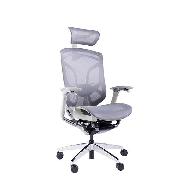 Mesh Back Swivel Office Task Chair Dvary X Ergonomic With Armrest