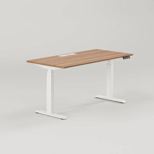 Bureau électrique debout personnalisé à double moteur