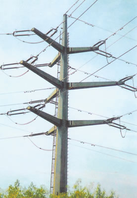 Galvanized Distribution Metal Utility Poles Philippines 30FT 35FT 45FT 2.75mm GR65