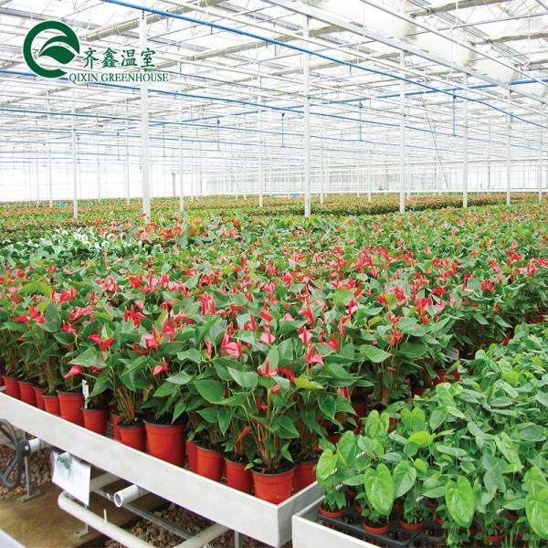 PO Film Protected Indoor Hydroponic Growing Systems for Greenhouse