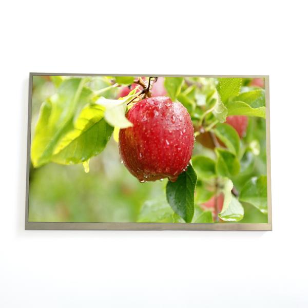 10.1 Inch IPS TFT LCD Display 1280x800 Resolution With LVDS Optional RTP Panel