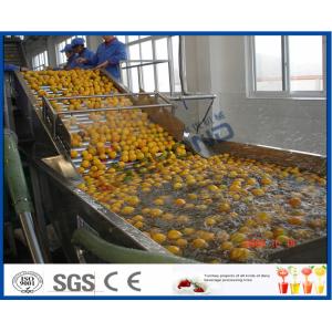 Energy Saving Orange Processing Line with Glass / PET Bottle Filling Machine