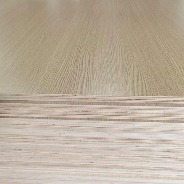 High quality wood plywood Melamine plywood wood laminate