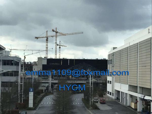 QTZ6513 Top Slewing Tower Crane Free Height 45meters 2.5m Mast Section