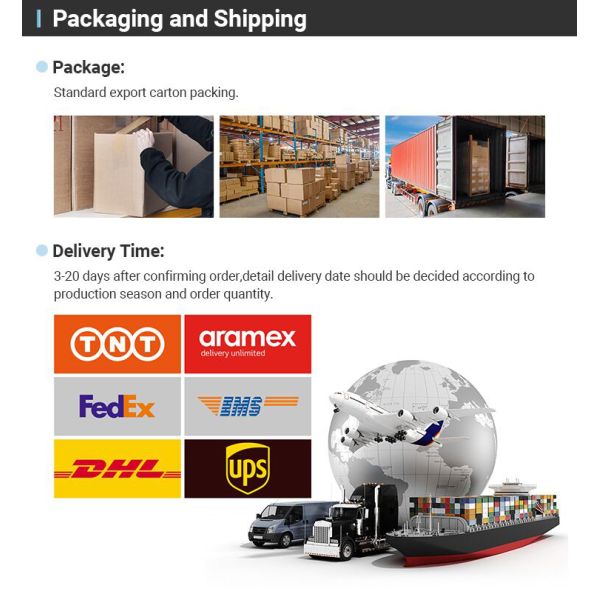 OEM поддерживается 6-дюймовый вентилятор ванной с светодиодным светом и электрическим воздухом