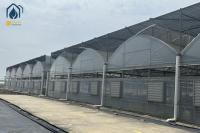 Transparent Multi Span Plastic Greenhouse For Maximum Crop Yield