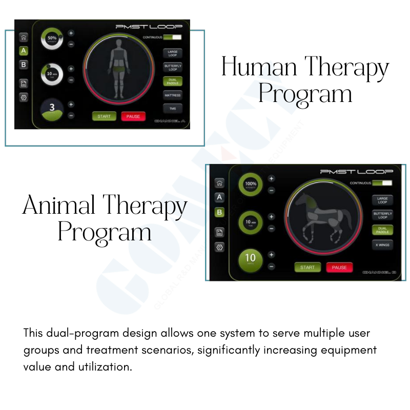 High Intensity PEMF Therapy Device with Human and Animal Treatment Programs
