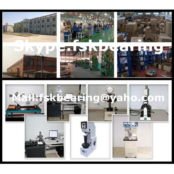 Four Row R 313812 Cylindrical Roller Bearing , Chrome Steel Rolling Mill Bearings