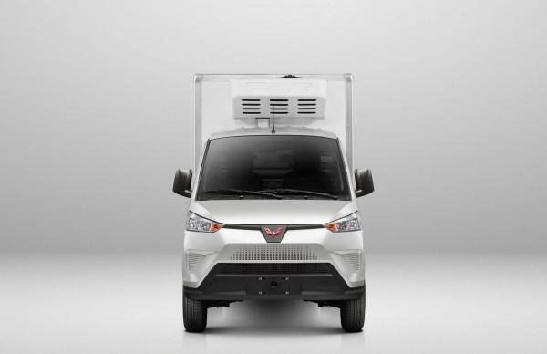 SGMW Wuling 2.7 Tons  Mini  Van Box Refrigerated  Electric Cargo Truck Freezer Truck for Frozen Meat and Chicken