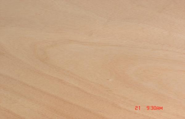 Rotary Cut 0.2 mm - 0.6 mm Okoume Veneer Yellow For Furniture
