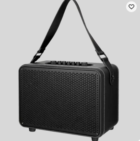 Popular Active Tws Portable Speaker USB 6.5 Inch Karaoke Speaker With Mics