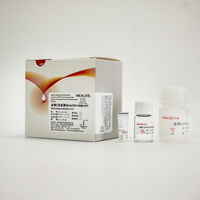 Serum Plasma C Reactive Protein Test Kit In Vitro Assay CE