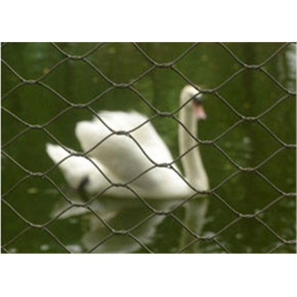 Plain Weave Stainless Steel Aviary Mesh , Stainless Steel Bird Cage Screen Mesh