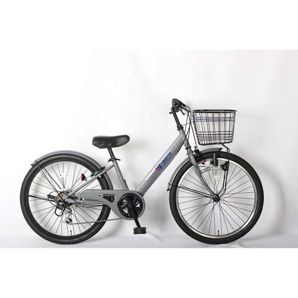 Variable Speed 22 Inch Student Bike For 11 12 Year Olds