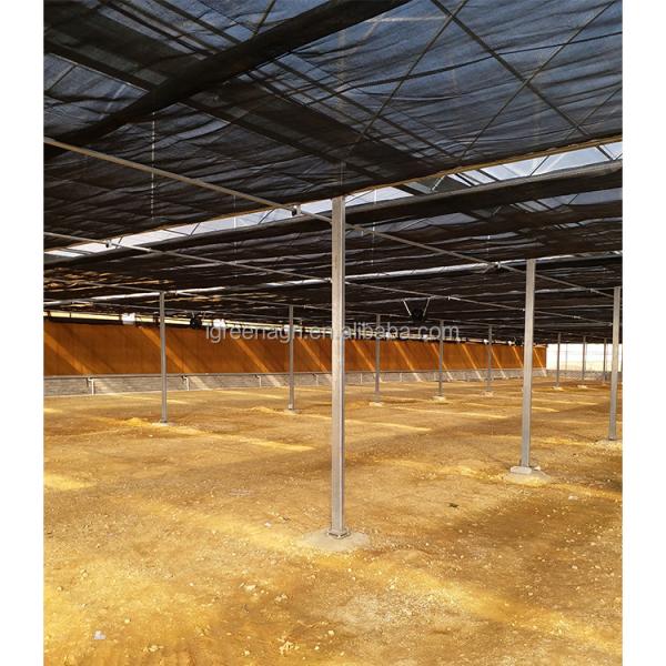 10m Tunnel Width Wide Span Greenhouse For Snail Farming with Irrigation System