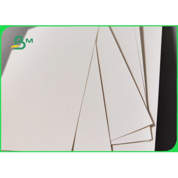 1S PE 240 papel de la acción de la taza G/M + 20g para las bebidas calientes 747m m 886m m reciclables