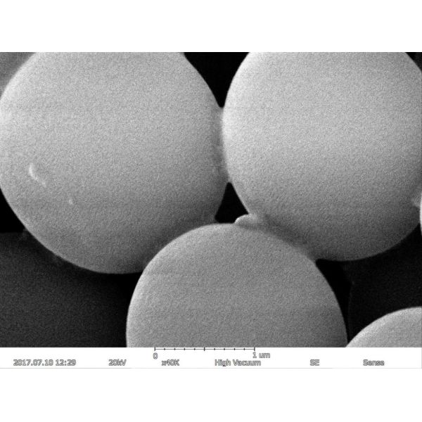 BSE EDS разрешения электронного кинескопа 5nm сканирования 150000X увеличения максимальный
