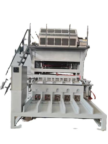 Recycled Waste Paper Egg Crate Making Machine High Capacity Easy Operation Egg Tray Machine