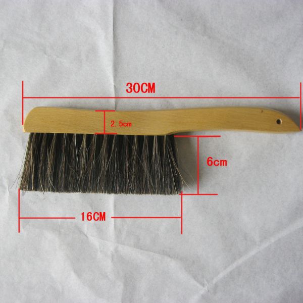 Le plancher mélangé de cheveux de cheval de couleur balayent la brosse de décapant mélangée de la poussière de pp 10 cm
