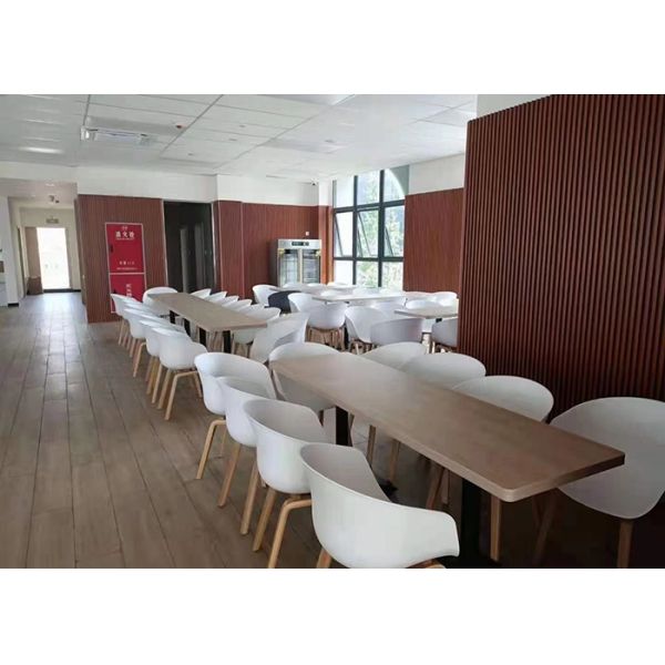 Patented Wooden Leg Plastic Chair Polypropylene Back Multicolor In Living Room