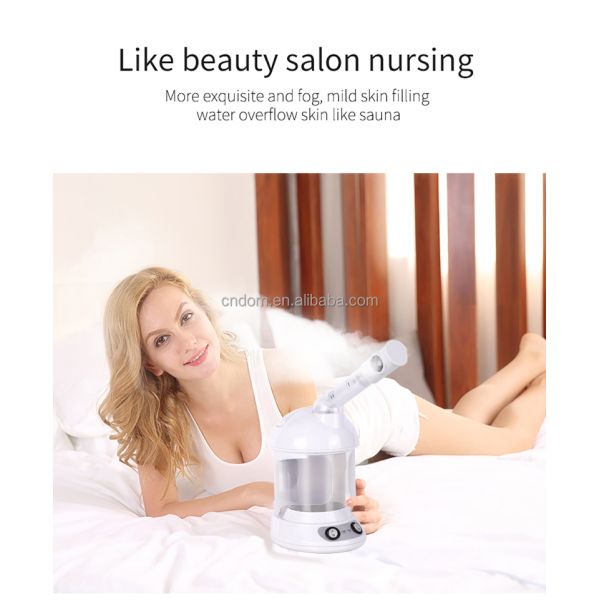 Gross Weight 1300g 2023 Newest Nano Facial Steamer for Salon Humidifier Multifuncional