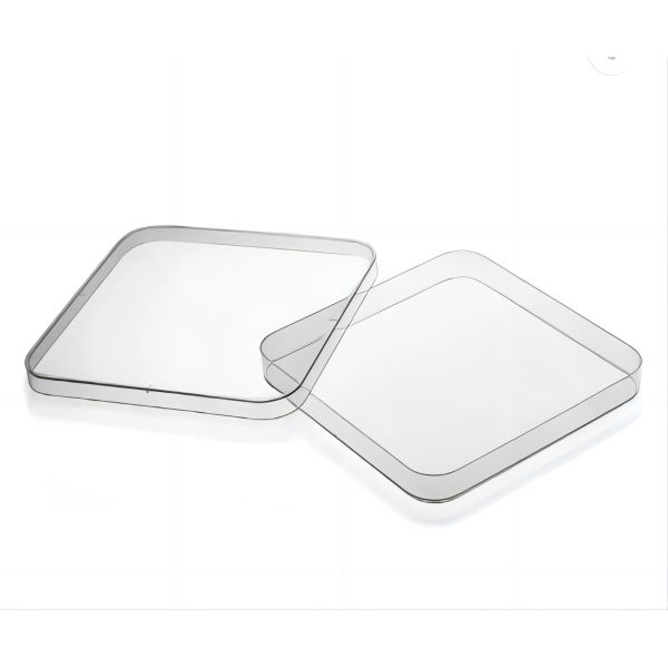 La place forment Petri Dish Uses In Laboratory de plastique avec le conduit