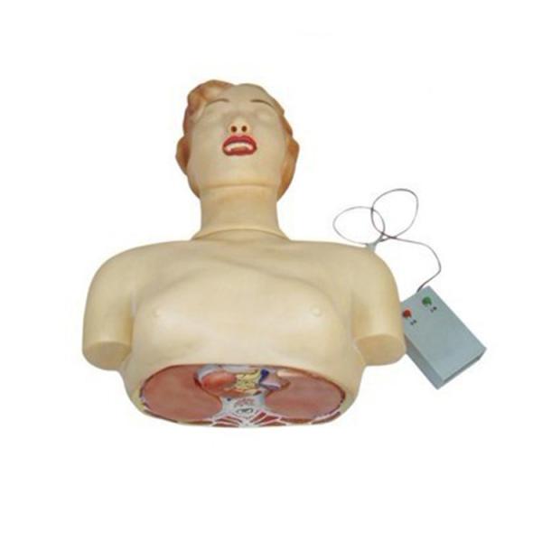 Medical Science Human Half Body Simulation CPR Manikin For Medical Training