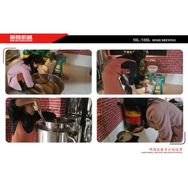 100L Beer Brewing Equipment , Pilot Brewery SS 304 Home Brewing Equipment