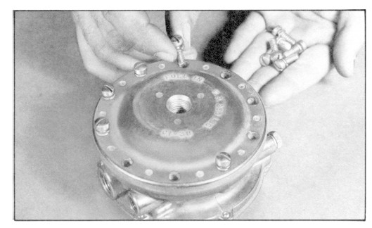 Hydrin Diaphragm RK VFF30 Lockoff IMPCO Repair Kits