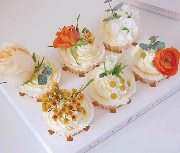 Gold Foil Stamping Baking Cupcake Muffin Paper Cup Wrappers Recycled Greaseproof Cupcake Paper Liners