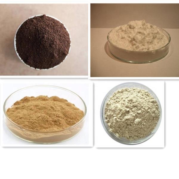 200kg Per Hour Protein Spray Dryer Machine Vegetable Powder Centrifugal Spray Dryer