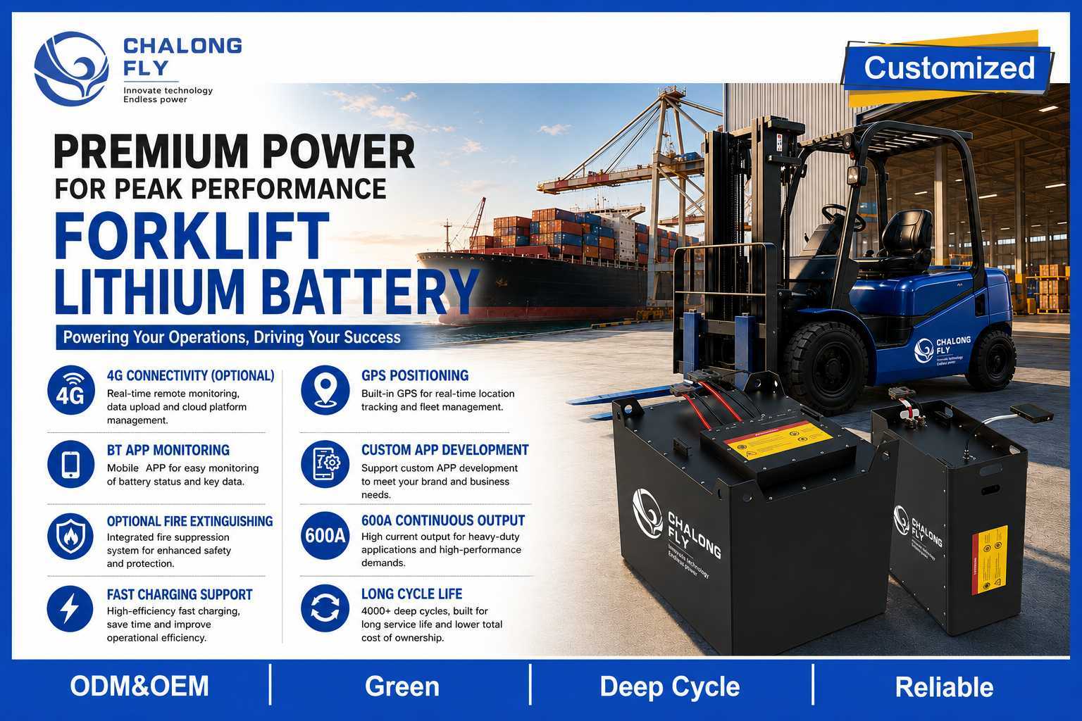 Custom 51.2V LiFePO4 Forklift Battery 304Ah 412Ah 560Ah with Smart BMS