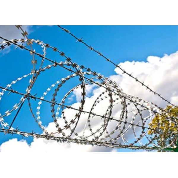 Low Carbon Steel Razor Barbed Wire Concertina Coil Diameter 500mm Prevent Theft