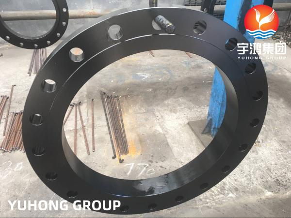 O preto forjado aço carbono da flange BLRF SORF WNRF de ASTM A105 pintou