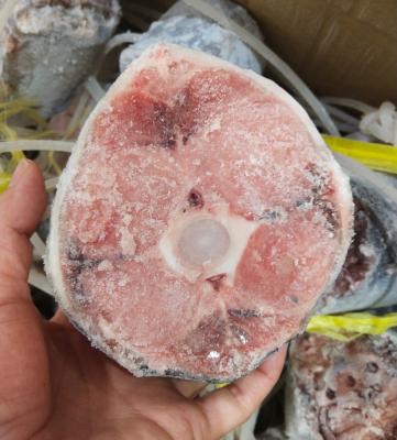 Palatable Whole Round 250g up Frozen Yellowfin Tuna tail  -60℃ For canned